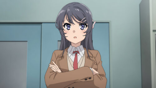 Mai Sakurajima Anime Girl Aesthetic PC Wallpaper