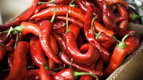 Vibrant Fresh Red Chili Peppers Macro Close Up 4K Wallpaper