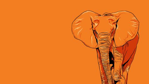 Minimalist Orange Elephant Illustration Artistic PC Wallpaper