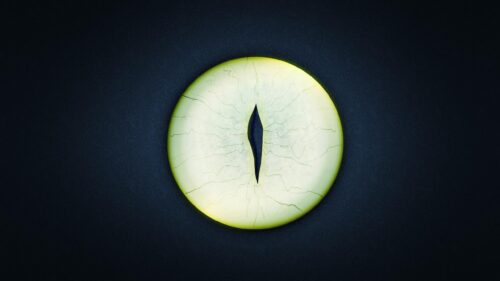 Glowing Reptilian Dragon Eye Minimalist Dark 4K Wallpaper