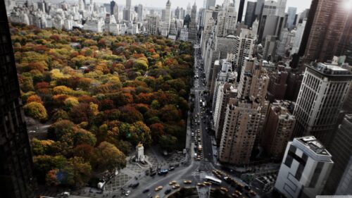Breathtaking Aerial View of New York City Central Park Autumn Forest 4K Wallpaper