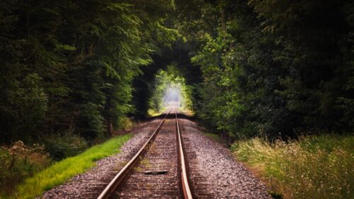 Mysterious Forest Railway Tracks Leading Into Sunlight PC Wallpaper