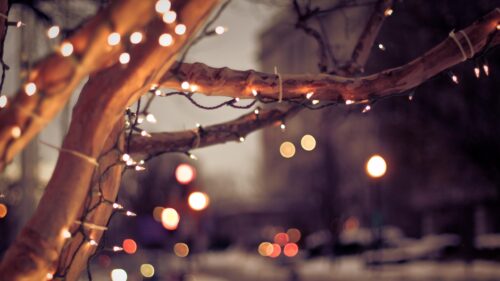 Enchanting Christmas Fairy Lights on Tree Branches PC Wallpaper