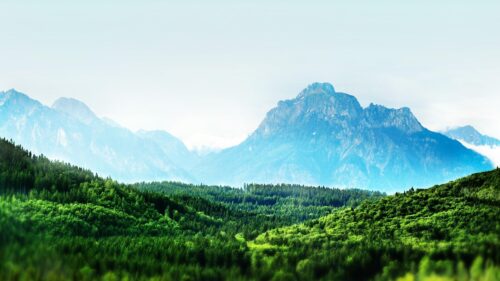 Breathtaking Mountain Range with Lush Green Pine Forest 4K Desktop Wallpaper