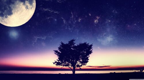 Stunning Night Sky with Full Moon and Silhouette Tree Desktop Wallpaper