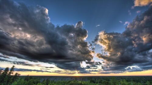 Stunning Sunset Over Dark Forest Landscape 4K Wallpaper