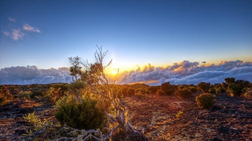 Stunning Haleakala Sunrise Over Volcanic Landscape PC Wallpaper