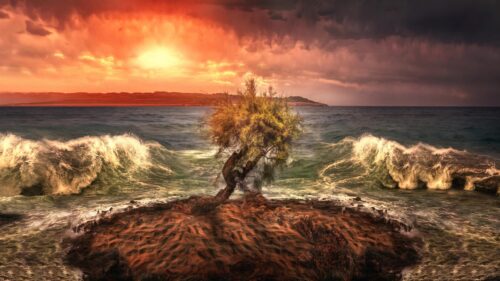 Dramatic Sunset Seascape with Lone Tree on Rocky Island 4K Wallpaper