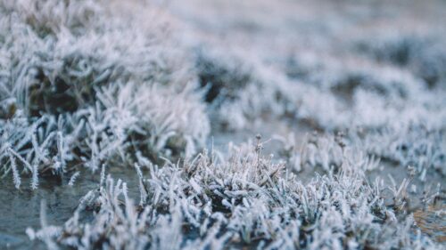 Beautiful Macro Frost on Winter Grass Frozen Nature PC Wallpaper