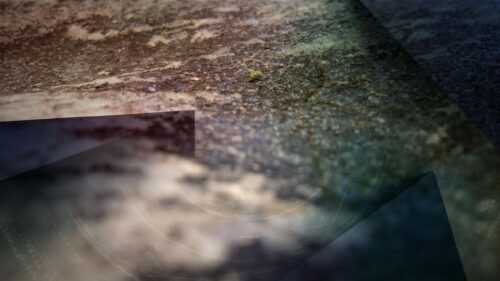 Minimalist Sprout Growing Through Stone Texture Desktop Wallpaper
