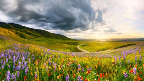 Stunning California Superbloom Valley Landscape 4K Desktop Wallpaper