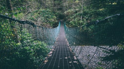 Mysterious Suspension Bridge in Lush Green Forest Desktop Wallpaper