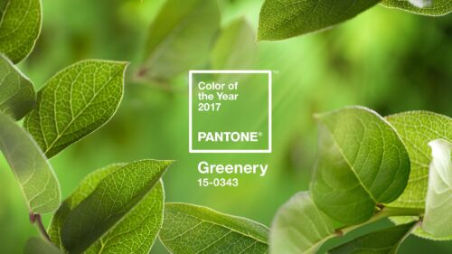 Pantone Color of the Year 2017 Greenery Leaves Macro PC Wallpaper
