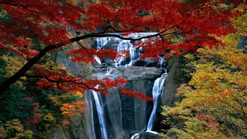 Breathtaking Waterfall Surrounded by Vibrant Autumn Maple Leaves 4K Wallpaper