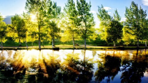 Stunning Golden Hour Landscape with Sunlit Trees and Lake Reflection PC Wallpaper