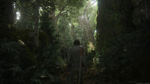 Clive Rosfield in Deep Forest Final Fantasy XVI Desktop Wallpaper