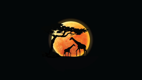 Giraffe Family Silhouette under Golden Moon Minimalist PC Wallpaper