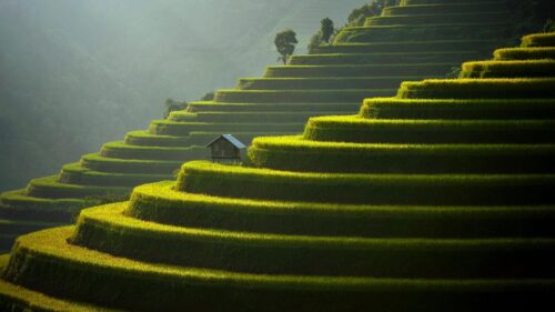 Serene Rice Terrace Landscape with Traditional Hut Desktop Wallpaper