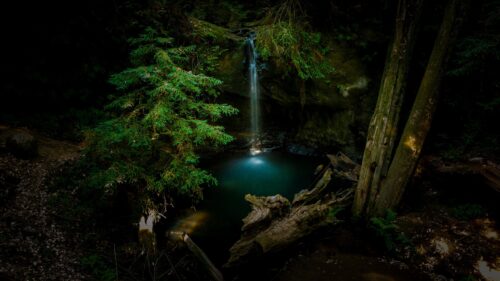 Enchanted Forest Waterfall Hidden Pond Nature Desktop Wallpaper