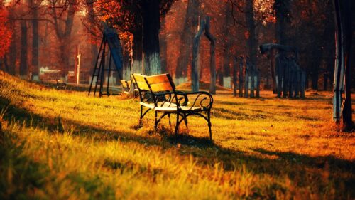 Stunning Autumn Park Bench at Golden Sunset 4K PC Wallpaper