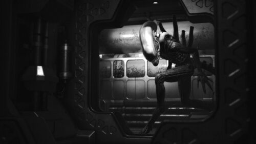Xenomorph Alien Hiding in Spaceship Corridor 4K PC Wallpaper