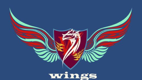 Minimalist Dragon Emblem with Spreading Wings PC Wallpaper