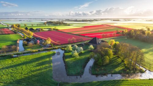 Stunning Dutch Tulip Fields Aerial View Netherlands Spring PC Wallpaper