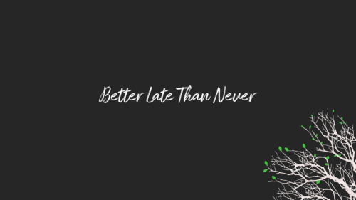 Minimalist Better Late Than Never Quote with Nature Art PC Wallpaper