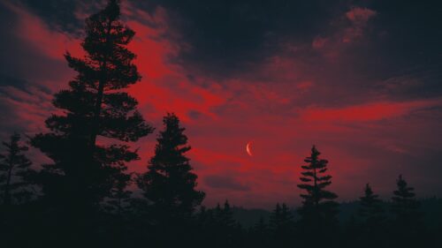 Dark Red Forest Night Sky with Crescent Moon PC Wallpaper