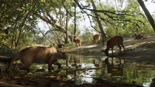 Mountain Lion Stalking Deer in Forest Stream PC Wallpaper