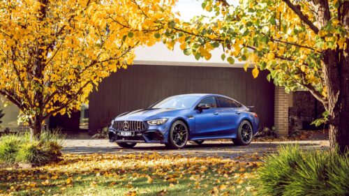 Stunning Blue Mercedes AMG GT 4 Door Coupe in Autumn Park PC Wallpaper