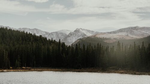Misty Mountain Lake and Pine Forest Landscape PC Wallpaper