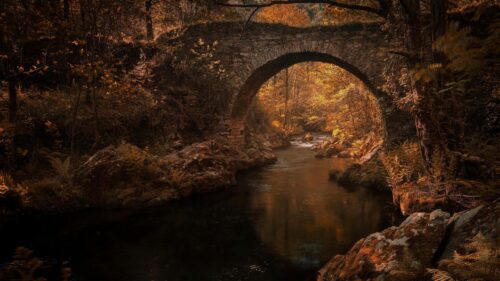Enchanting Ancient Stone Bridge in Golden Autumn Forest PC Wallpaper