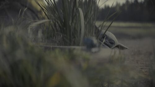 Baby Yoda Grogu Peeking Through Tall Grass Star Wars PC Wallpaper