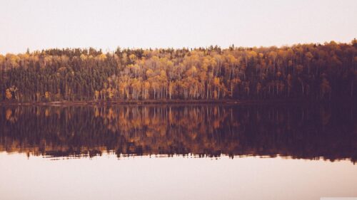 Stunning Autumn Forest Reflection Over Calm Lake Desktop Wallpaper