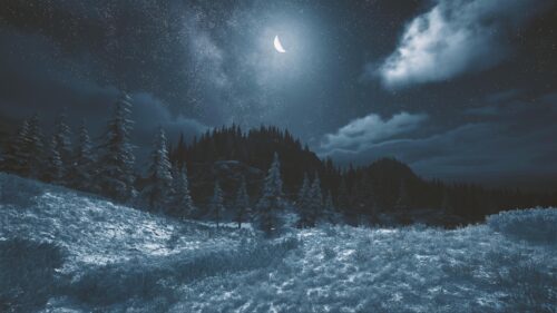Stunning Night Sky Over Snowy Forest Landscape 4K PC Wallpaper
