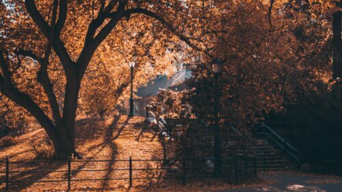 Beautiful Autumn Park Landscape with Golden Trees and Stone Stairs Desktop Wallpaper