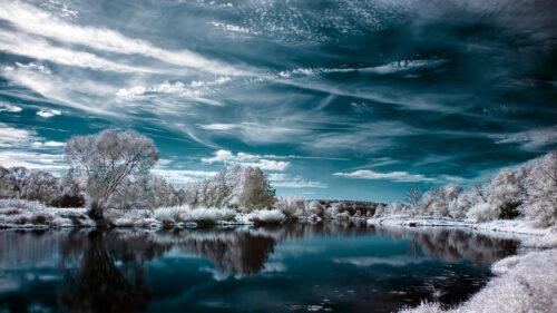 Ethereal Infrared Forest and River Landscape 4K PC Wallpaper
