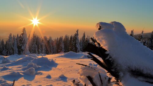 Golden Winter Sunset over Snowy Forest Peaks 4K Wallpaper