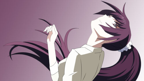 Hitagi Senjougahara Monogatari Series Aesthetic Anime PC Wallpaper