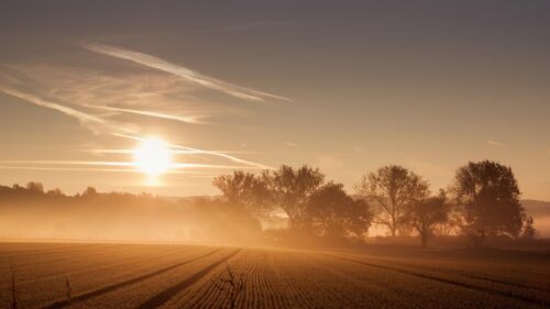 Golden Sunrise Over Misty Agricultural Field 4K PC Wallpaper