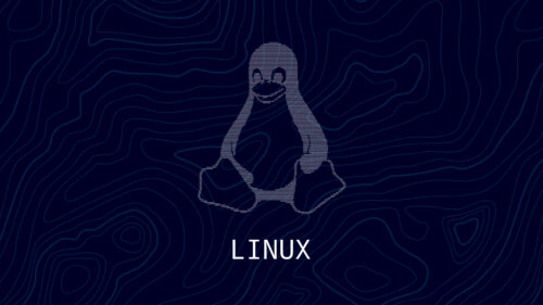 Minimalist Tux Linux Logo with Topographic Lines Dark PC Wallpaper