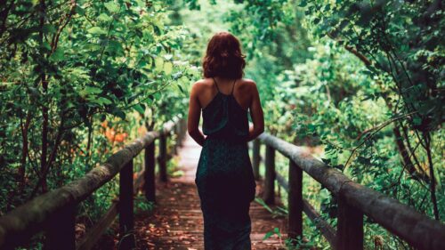 Woman Walking on Wooden Forest Bridge Nature Desktop Wallpaper