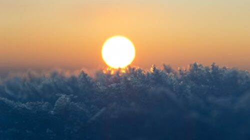 Stunning Macro Ice Crystals at Golden Hour Sunset PC Wallpaper