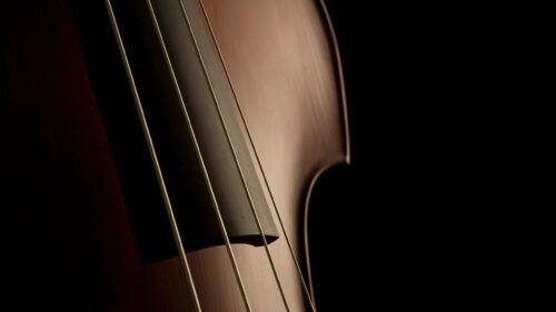 Elegant Close Up Double Bass Strings and Wooden Body PC Wallpaper