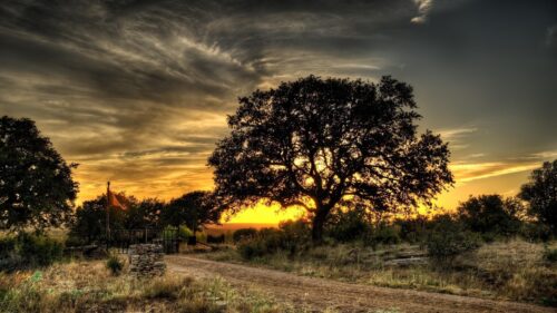 Stunning Golden Sunset Over Countryside Landscape 4K Wallpaper