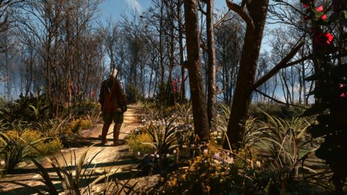 Geralt of Rivia in Velen The Witcher 3 Forest Adventure PC Wallpaper