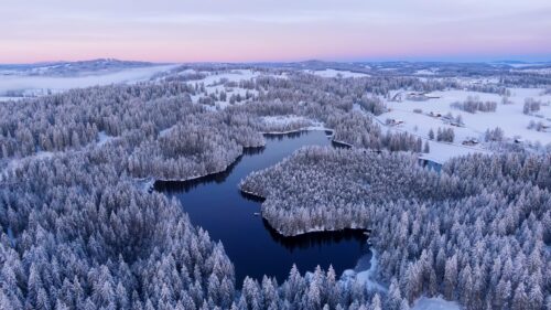 Breathtaking Aerial Winter Landscape with Frozen Forest and Lake PC Wallpaper