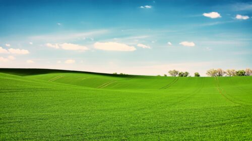 Stunning Green Rolling Hills Landscape Under Clear Blue Sky Desktop Wallpaper
