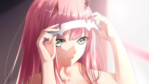 Stunning Zero Two Darling in the Franxx Anime Girl 4K Desktop Wallpaper